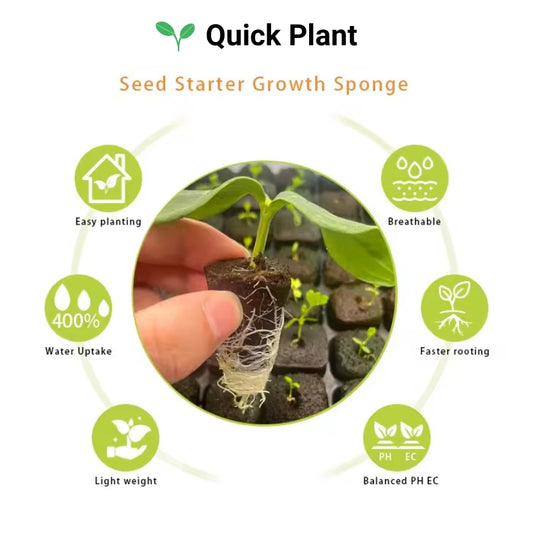 Growing Media Growth Sponges Nursery