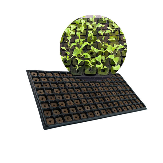 128-Hole Seedling Tray for Growing Media Nursery Substrate