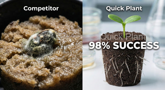 How a Commercial Grower Hit 98% Germination in January (And How You Can Too)