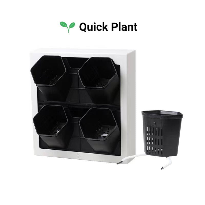 Wall Mounted Photo Frames