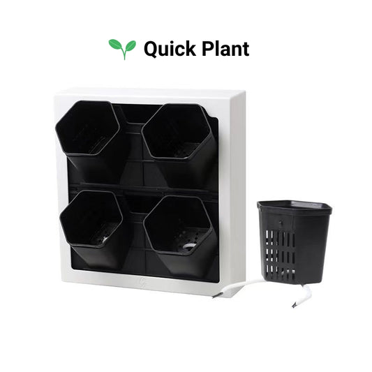 Wall Mounted Photo Frames