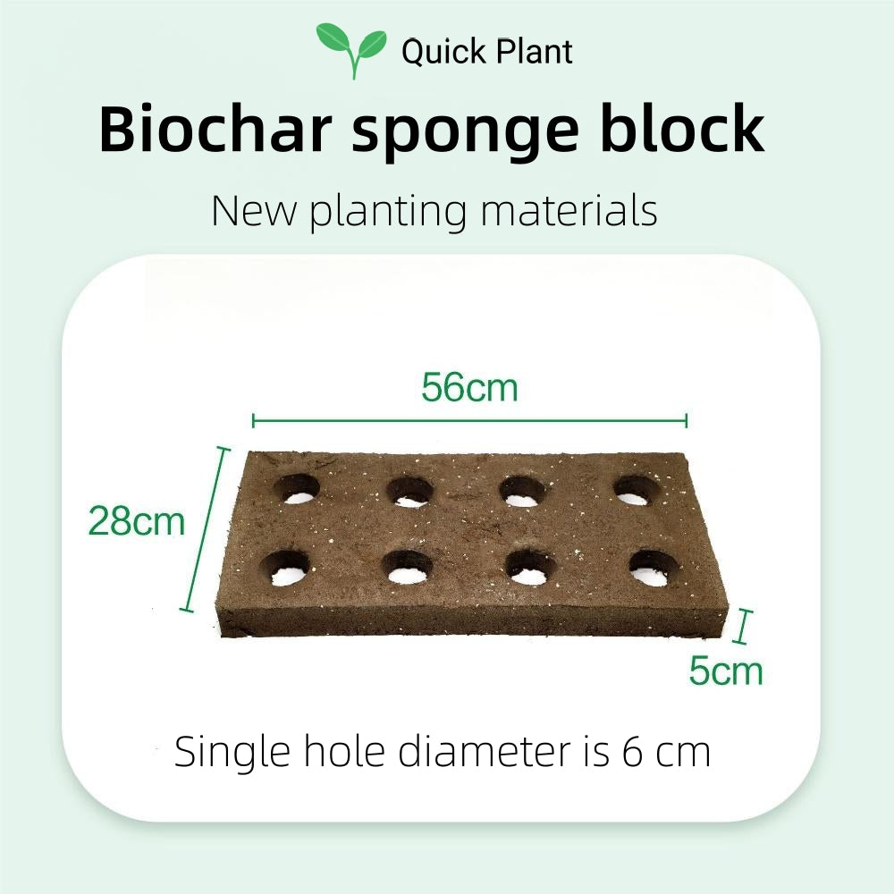 BIOCHAR SPONGE BLOCK FOR VERTICAL GREENING