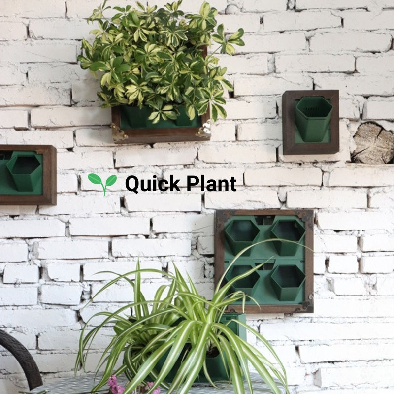 Wall Mounted Photo Frames