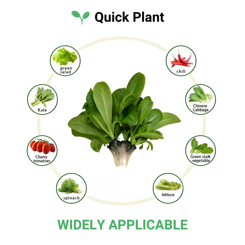 Growing Media Growth Sponges Nursery