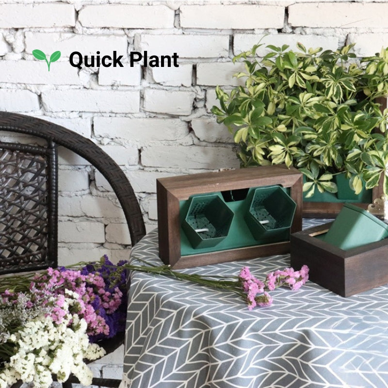 Wall Mounted Photo Frames