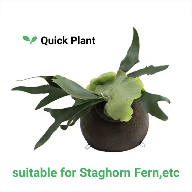 Spherical planting block Growing Media Planting Substrate