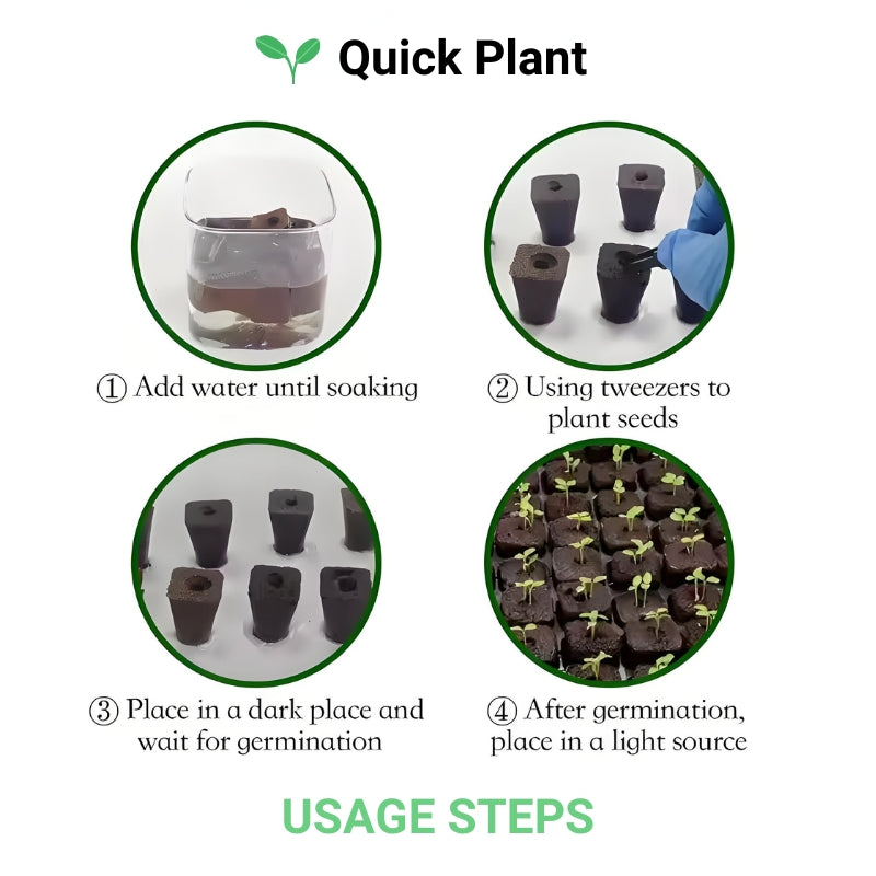 Growing Media Growth Sponges Nursery