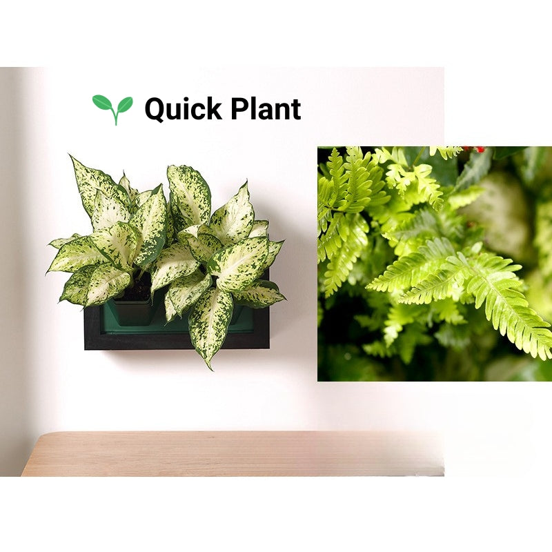 Wall Mounted Photo Frames