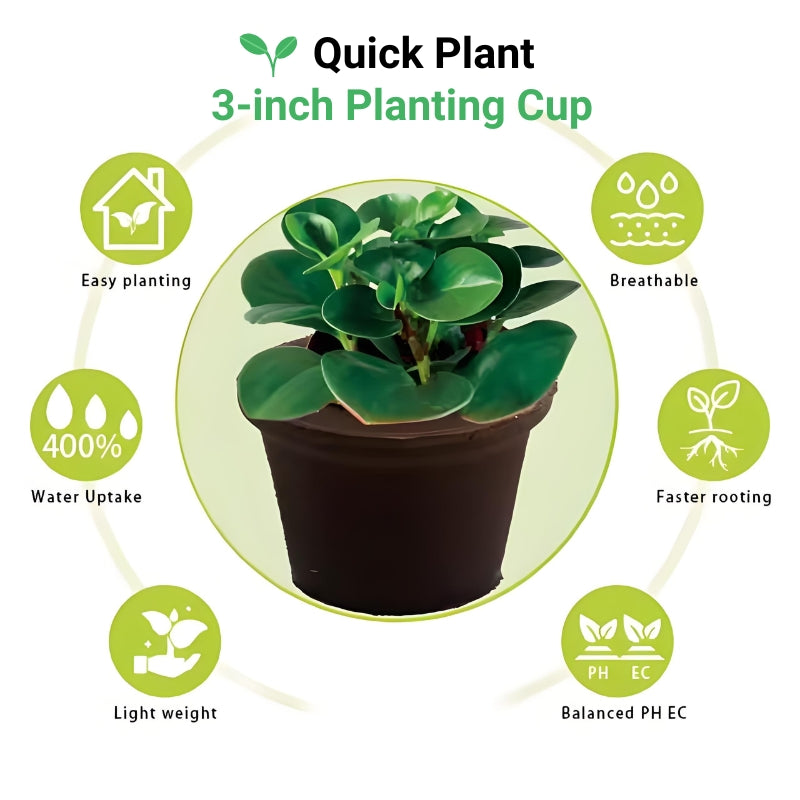 3 inch Planting Cup