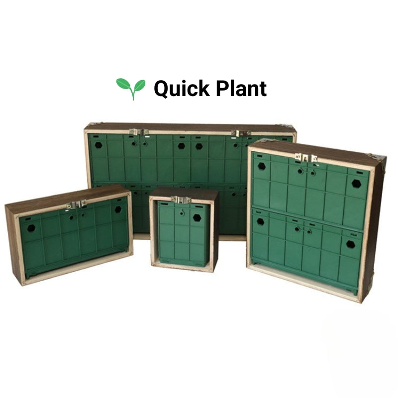 Wall Mounted Photo Frames