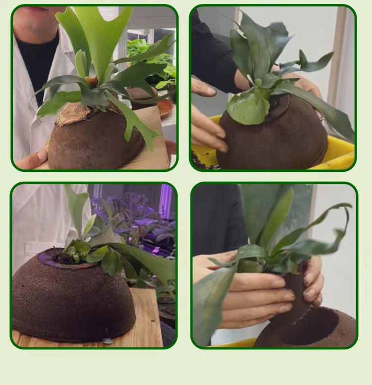 Spherical planting block Growing Media Planting Substrate