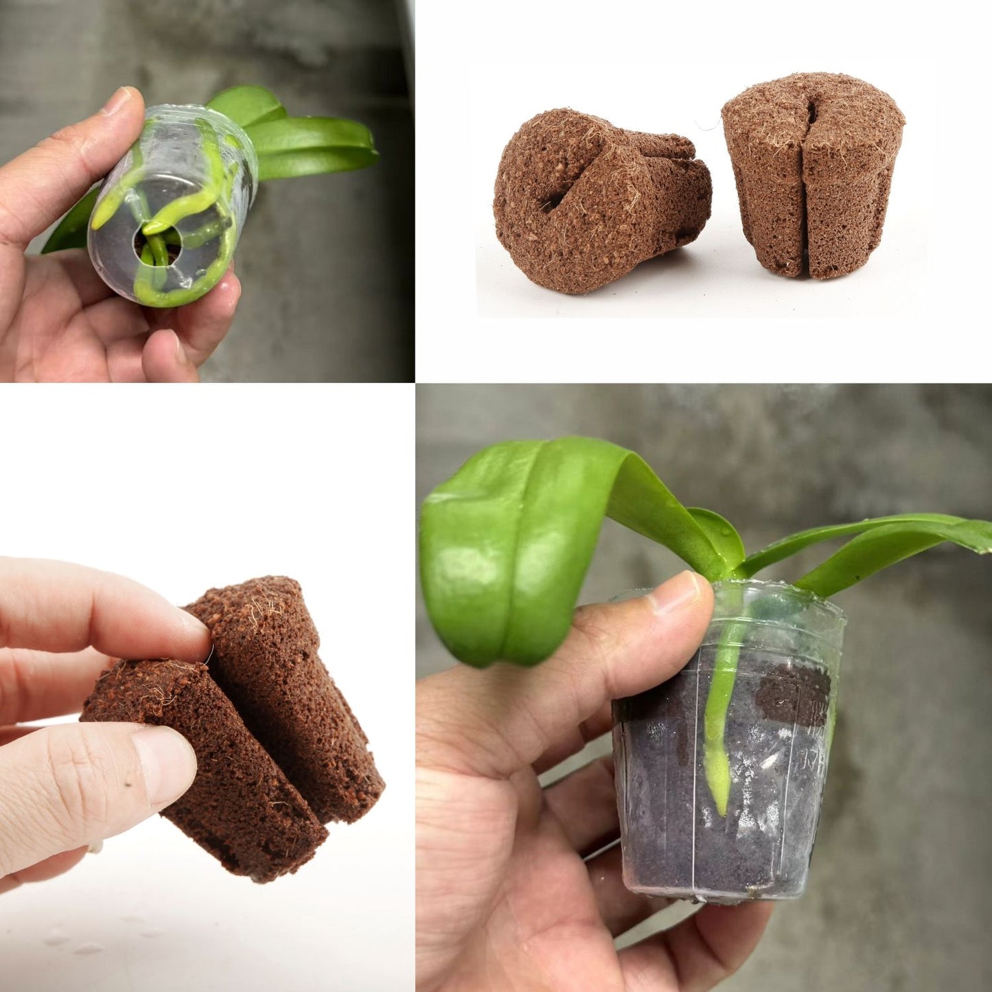 1.7 Inch Planting Block Growing Media