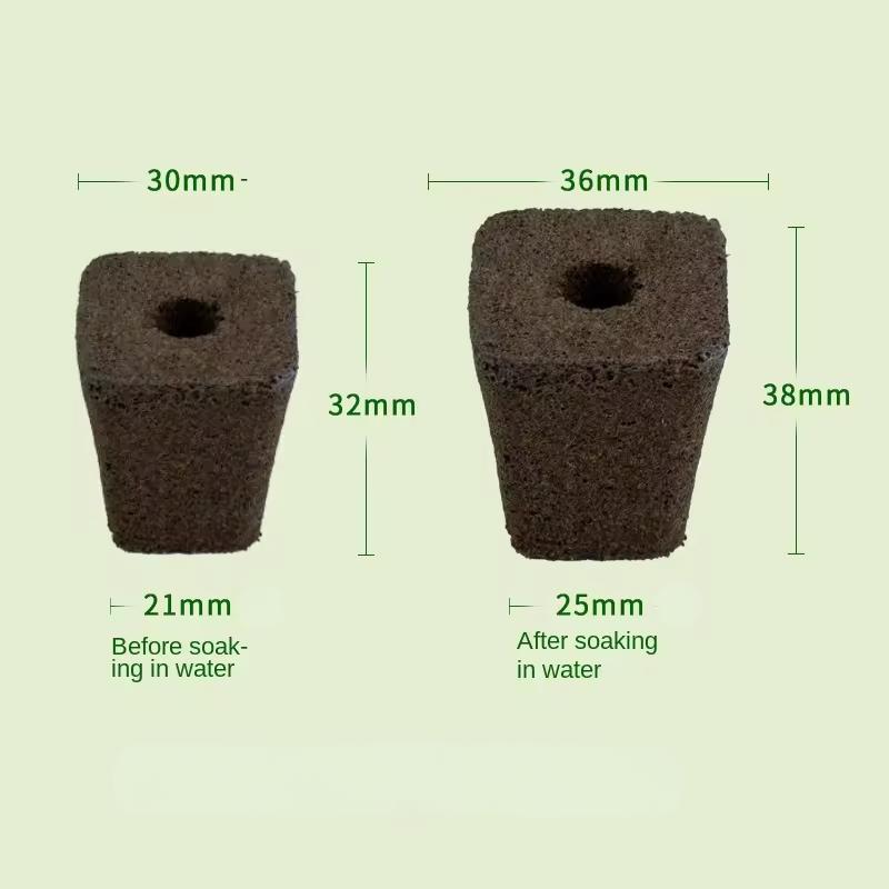 Growing Media Growth Sponges Nursery